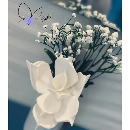 Stella In Centro לינה וארוחת בוקר 3*